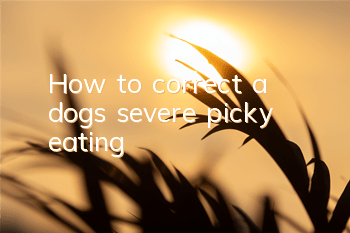 How to correct a dog’s severe picky eating