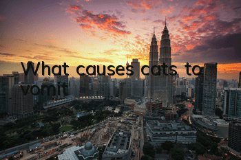What causes cats to vomit?