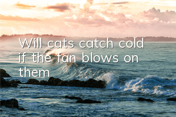 Will cats catch cold if the fan blows on them?