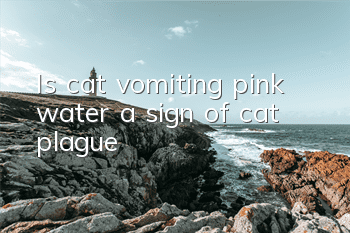 Is cat vomiting pink water a sign of cat plague?