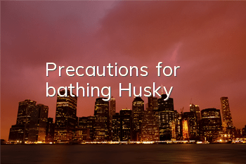 TPrecautions for bathing Husky