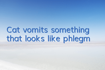 Cat vomits something that looks like phlegm