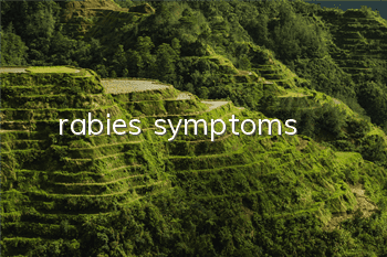Trabies symptoms