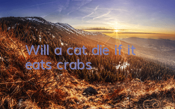 Will a cat die if it eats crabs?