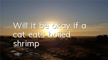 Will it be okay if a cat eats boiled shrimp?