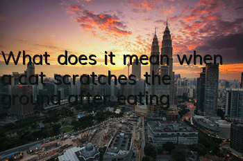 What does it mean when a cat scratches the ground after eating?