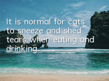 It is normal for cats to sneeze and shed tears when eating and drinking.