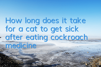 How long does it take for a cat to get sick after eating cockroach medicine?