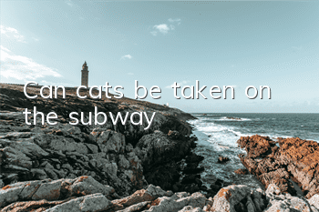 Can cats be taken on the subway?