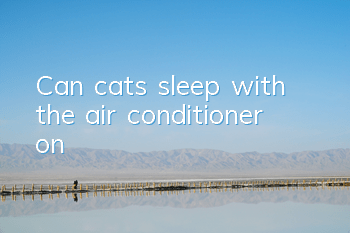 Can cats sleep with the air conditioner on?