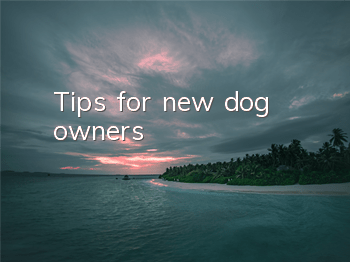 TTips for new dog owners