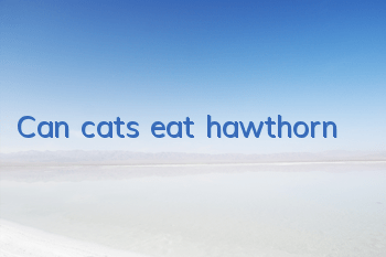 Can cats eat hawthorn?