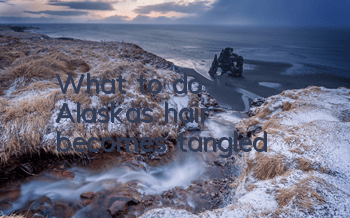 What to do if Alaska’s hair becomes tangled
