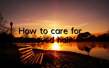 How to care for Samoyed hair
