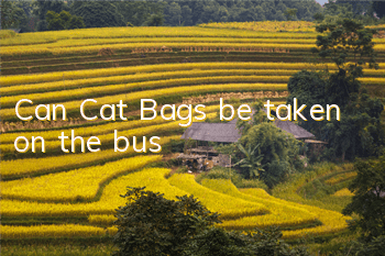 Can Cat Bags be taken on the bus?