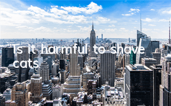 Is it harmful to shave cats?