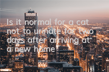 Is it normal for a cat not to urinate for two days after arriving at a new home?