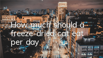 How much should a freeze-dried cat eat per day?