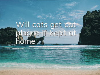 Will cats get cat plague if kept at home?