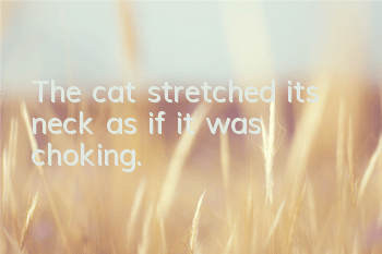The cat stretched its neck as if it was choking.