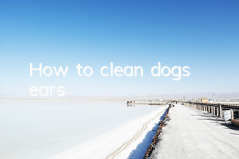 How to clean dog’s ears