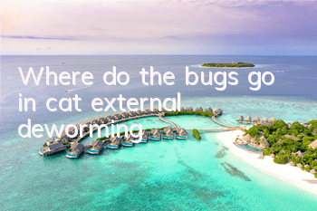 Where do the bugs go in cat external deworming?