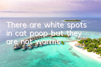 There are white spots in cat poop but they are not worms
