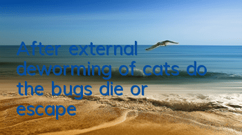 After external deworming of cats, do the bugs die or escape?