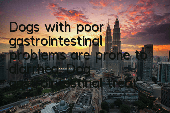 Dogs with poor gastrointestinal problems are prone to diarrhea. Dog gastrointestinal treatment!