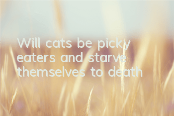 Will cats be picky eaters and starve themselves to death?