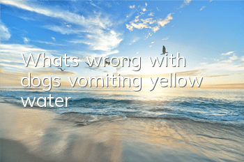 What’s wrong with dogs vomiting yellow water?