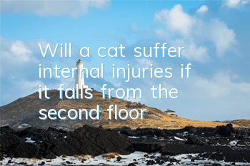Will a cat suffer internal injuries if it falls from the second floor?