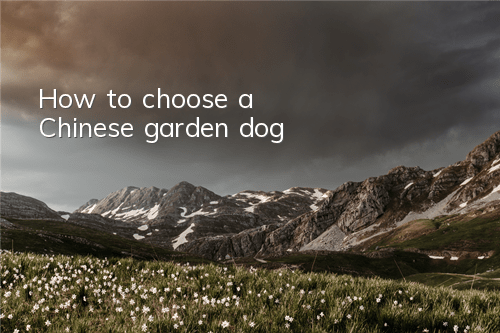How to choose a Chinese garden dog
