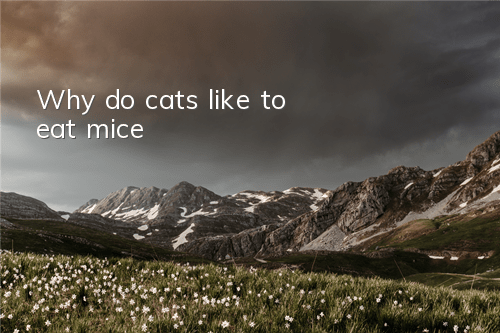 Why do cats like to eat mice?