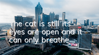 The cat is still, its eyes are open, and it can only breathe