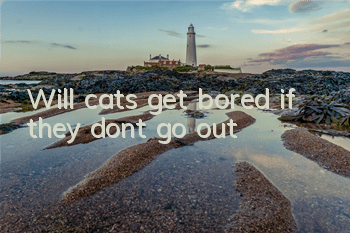 Will cats get bored if they don’t go out?
