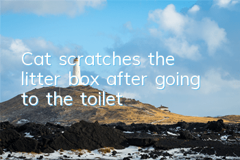 Cat scratches the litter box after going to the toilet