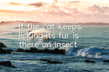 If the cat keeps licking its fur, is there an insect?