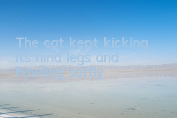 The cat kept kicking its hind legs and howling softly