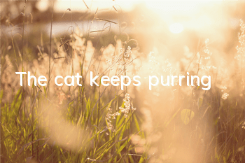 The cat keeps purring
