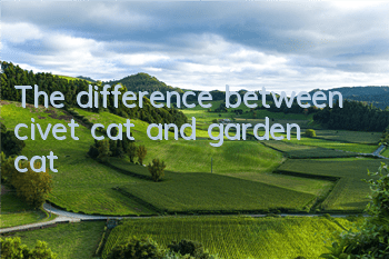 The difference between civet cat and garden cat