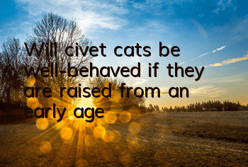 Will civet cats be well-behaved if they are raised from an early age?