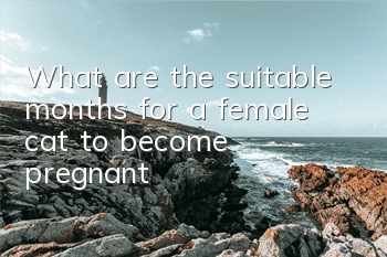 What are the suitable months for a female cat to become pregnant?