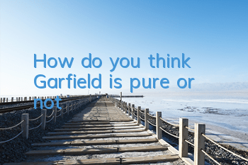 How do you think Garfield is pure or not?