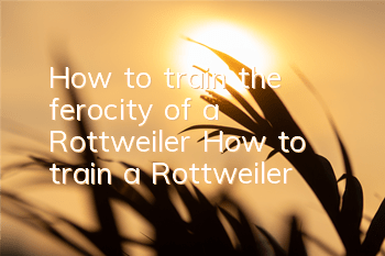 THow to train the ferocity of a Rottweiler? How to train a Rottweiler!