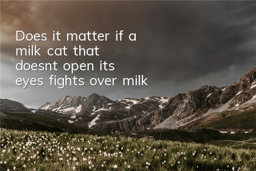 Does it matter if a milk cat that doesn't open its eyes fights over milk?