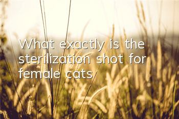 What exactly is the sterilization shot for female cats?