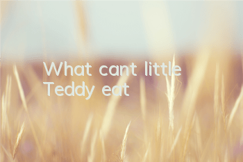 What can’t little Teddy eat?