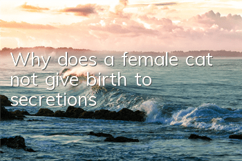 Why does a female cat not give birth to secretions?