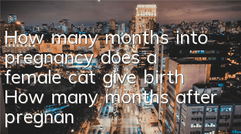 How many months into pregnancy does a female cat give birth? How many months after pregnancy does a female cat give birth?